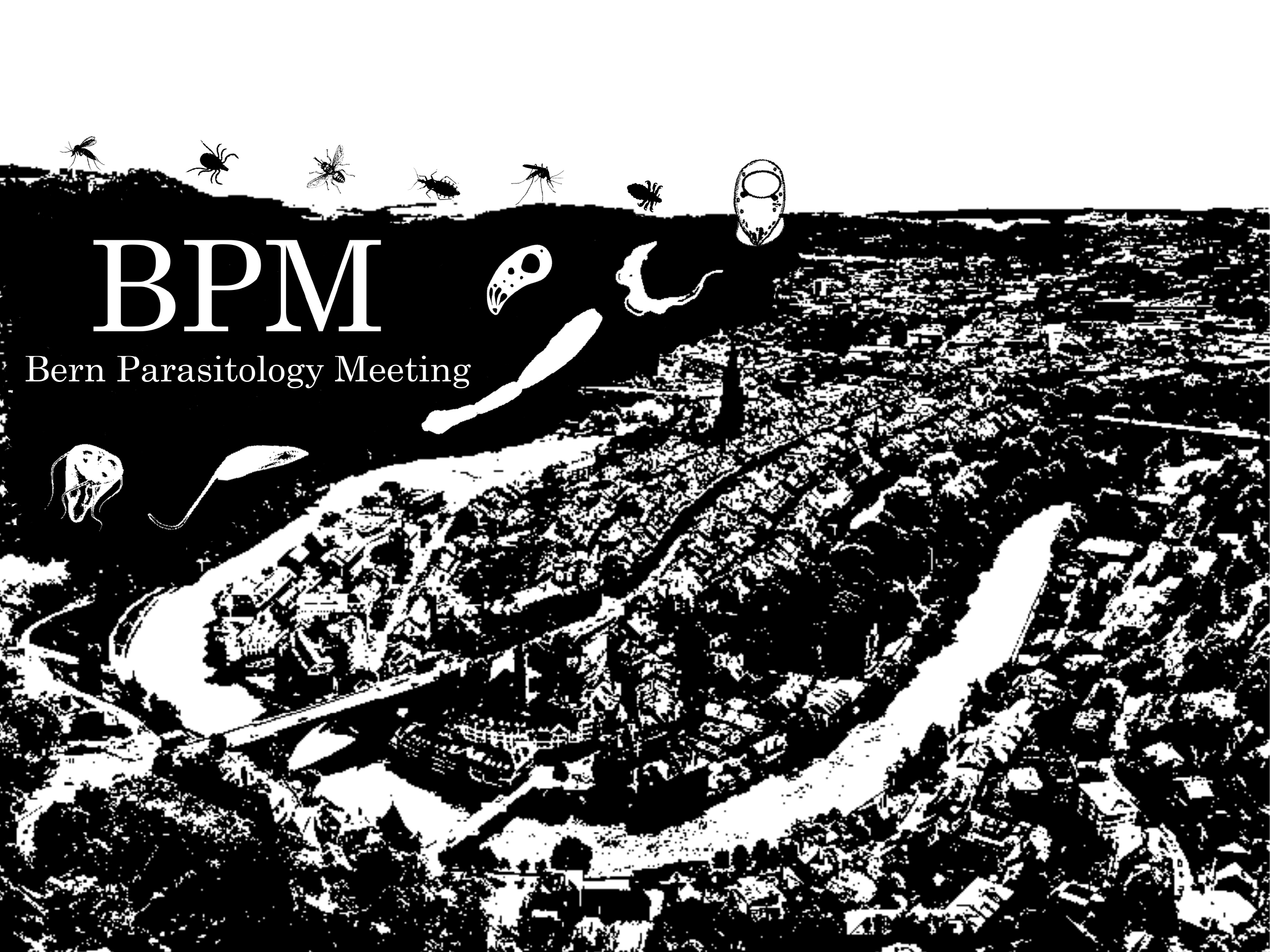Titleimage: Bern Parasitology Meeting (BPM)
